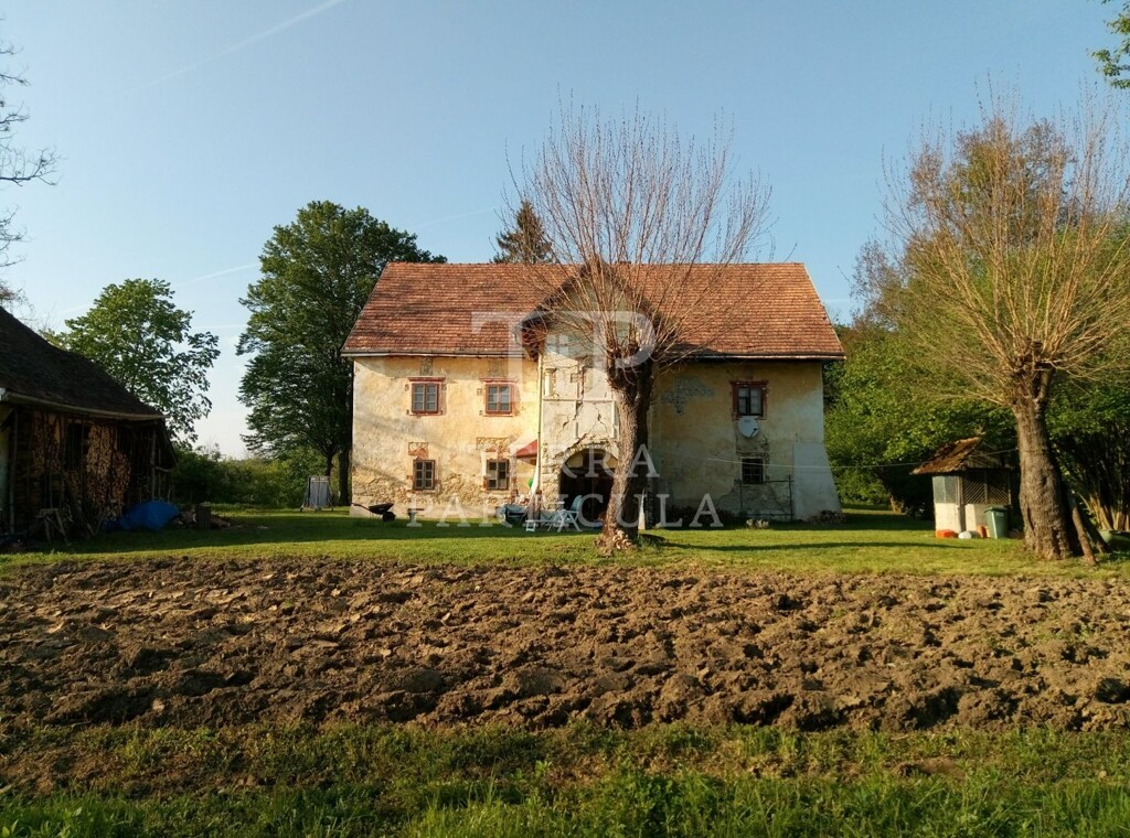 Image 4890297 - 2