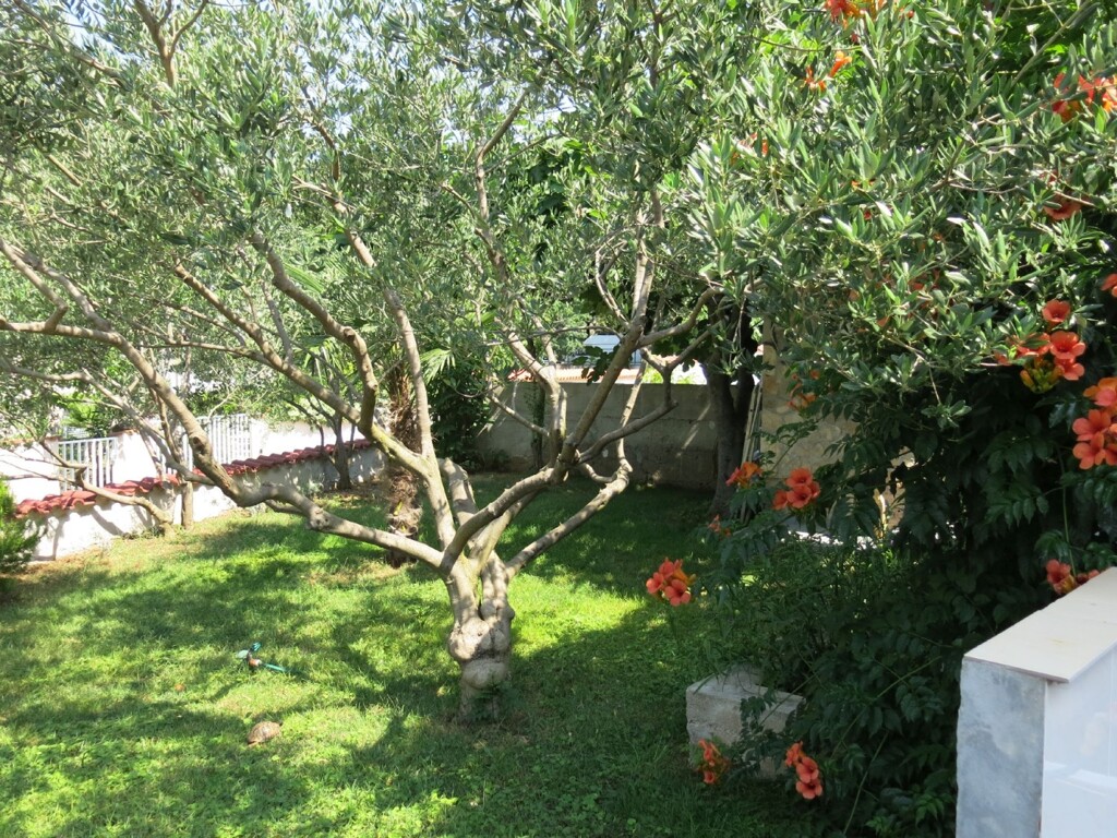 Image 4890465 - 11