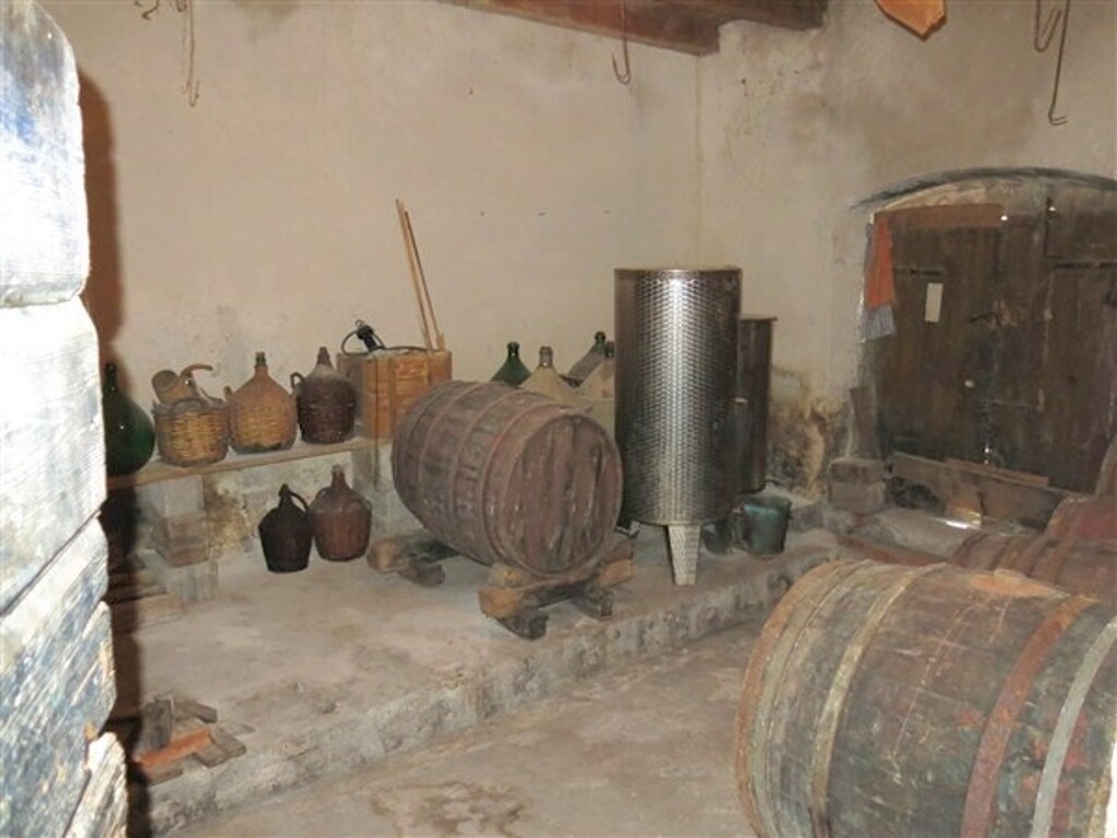 Image 4890468 - 5