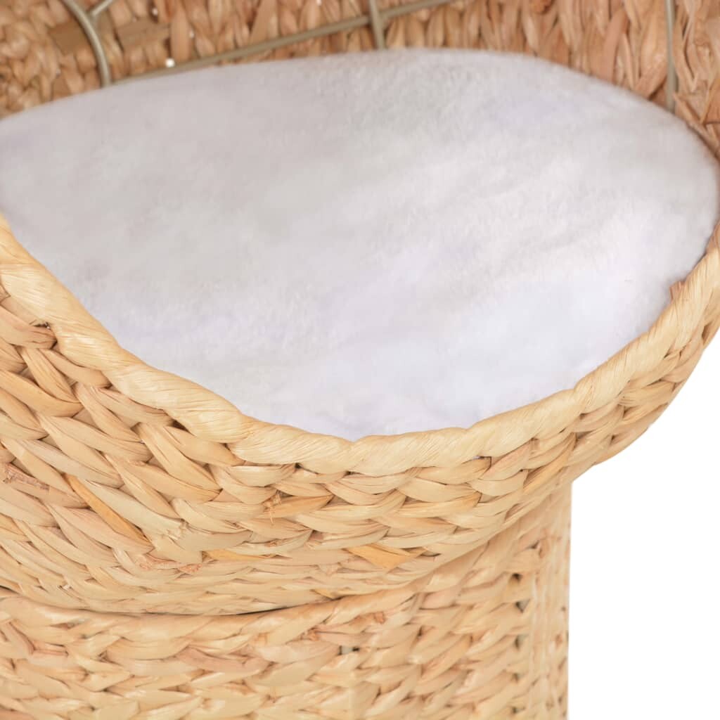 Image 4925688 - 3