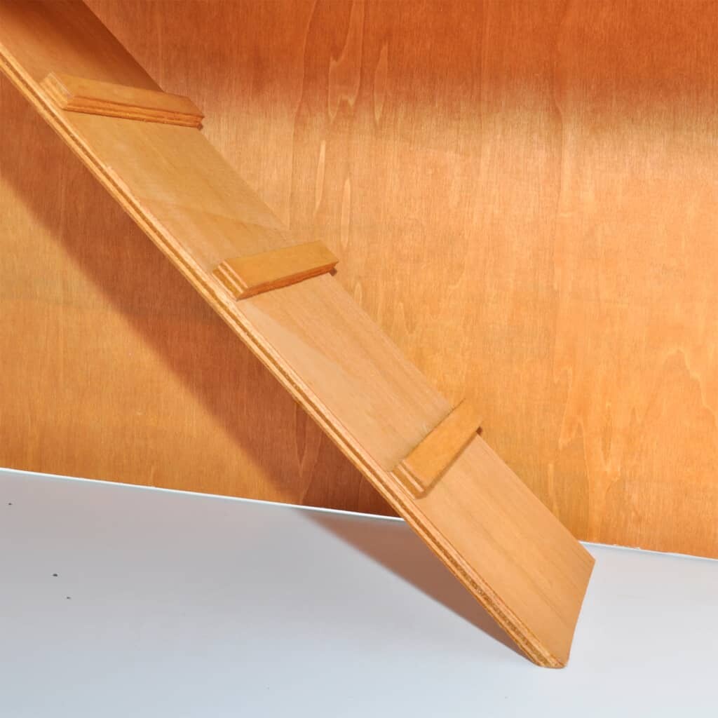 Image 4925772 - 4