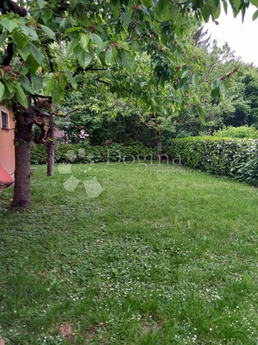 Thumbnail 4948945 - 8