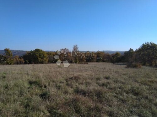 Thumbnail 4966040 - 4