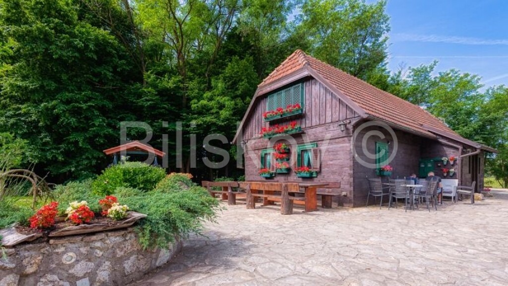 Image 4966072 - 1