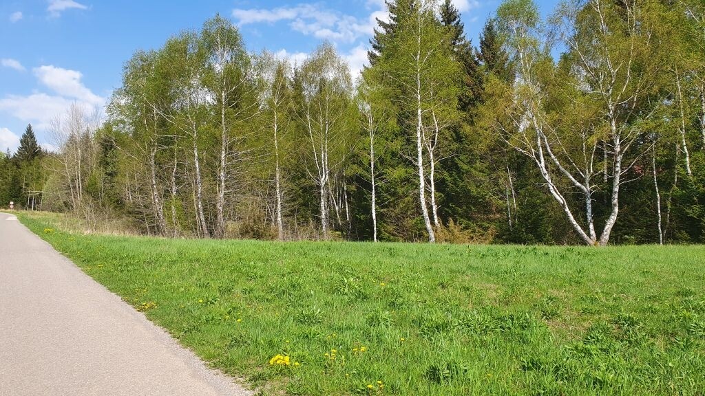Image 4966502 - 2