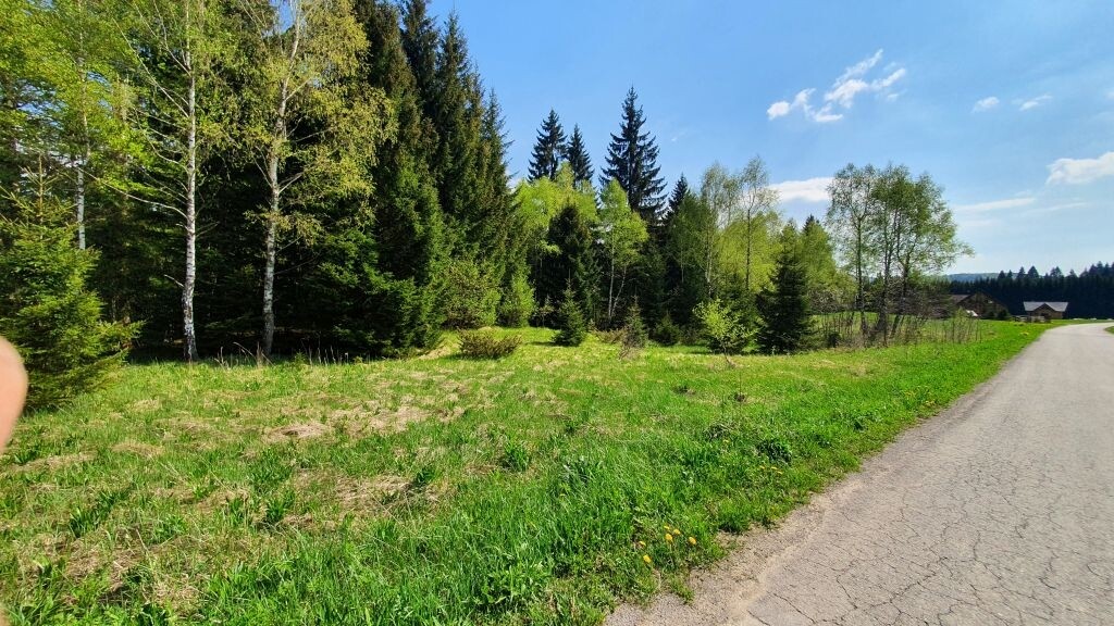 Image 4966502 - 1