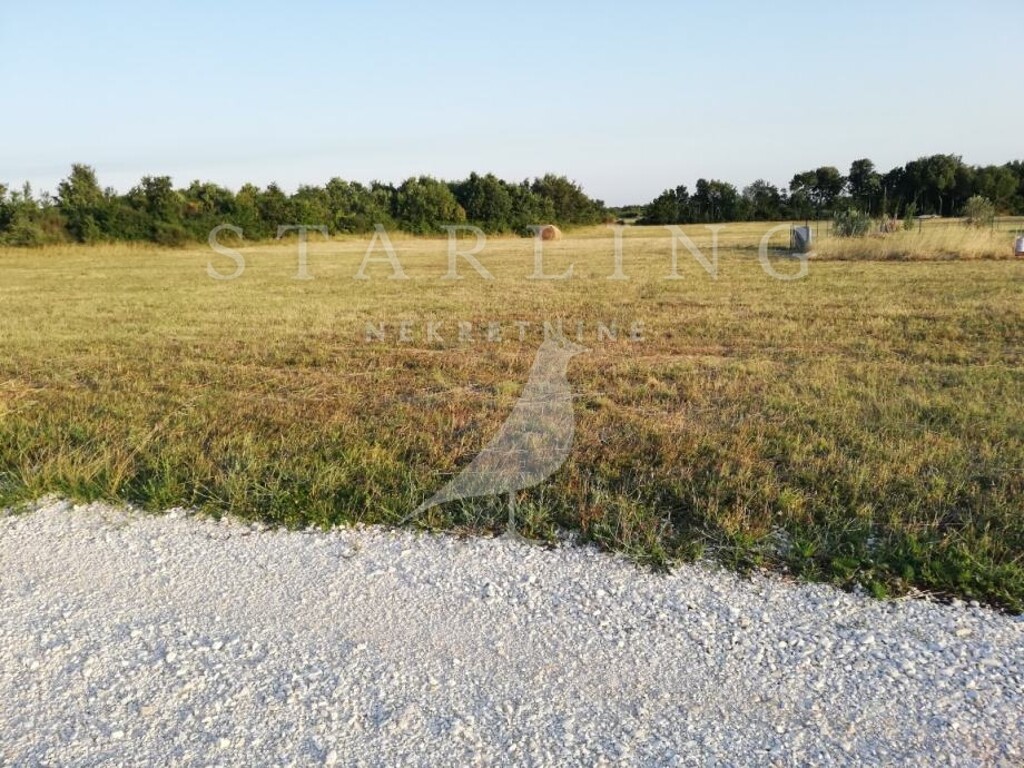 Image 4974891 - 1