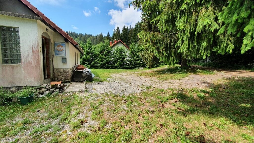 Image 4976149 - 5