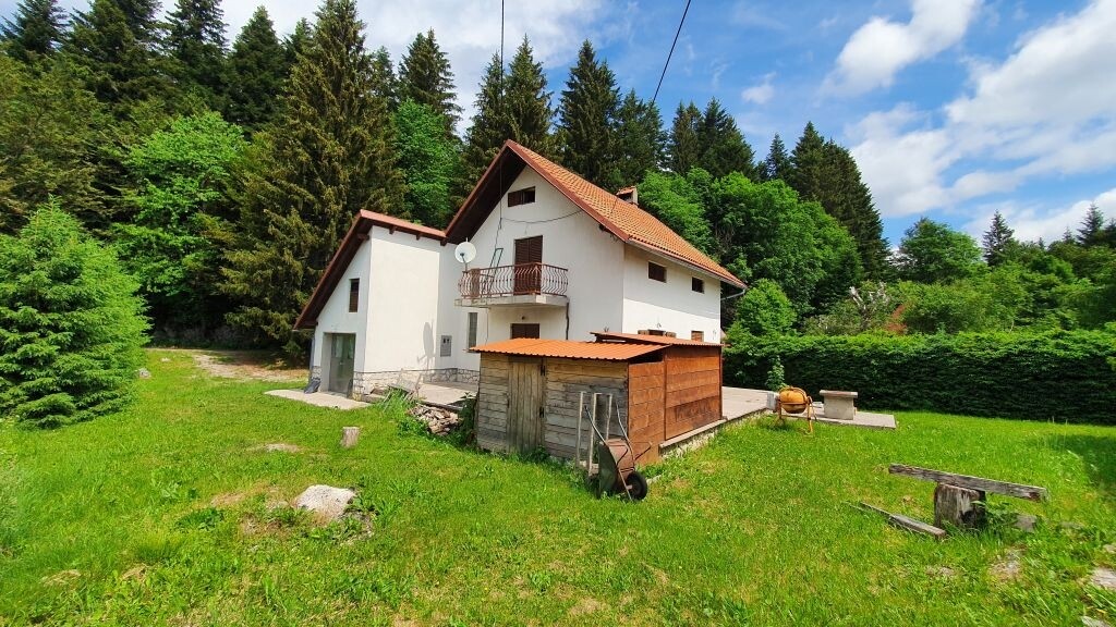 Image 4976149 - 2