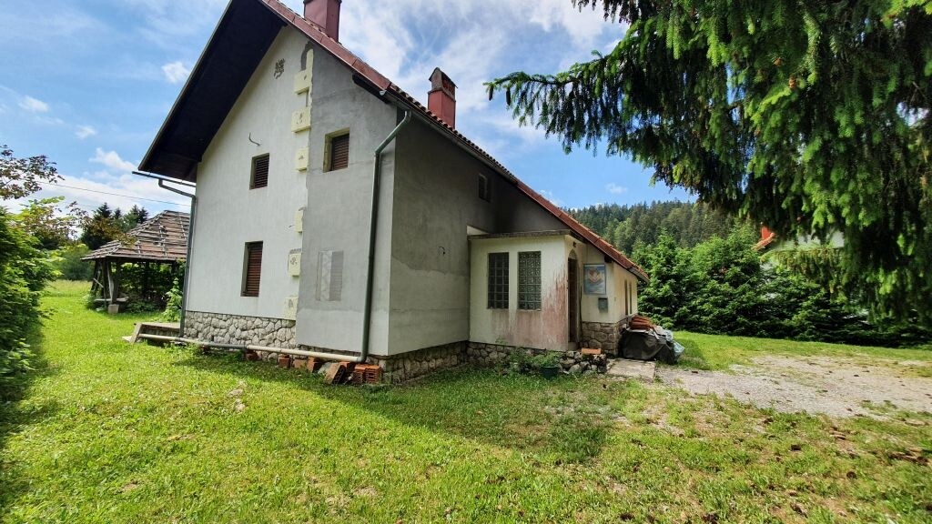 Image 4976149 - 4