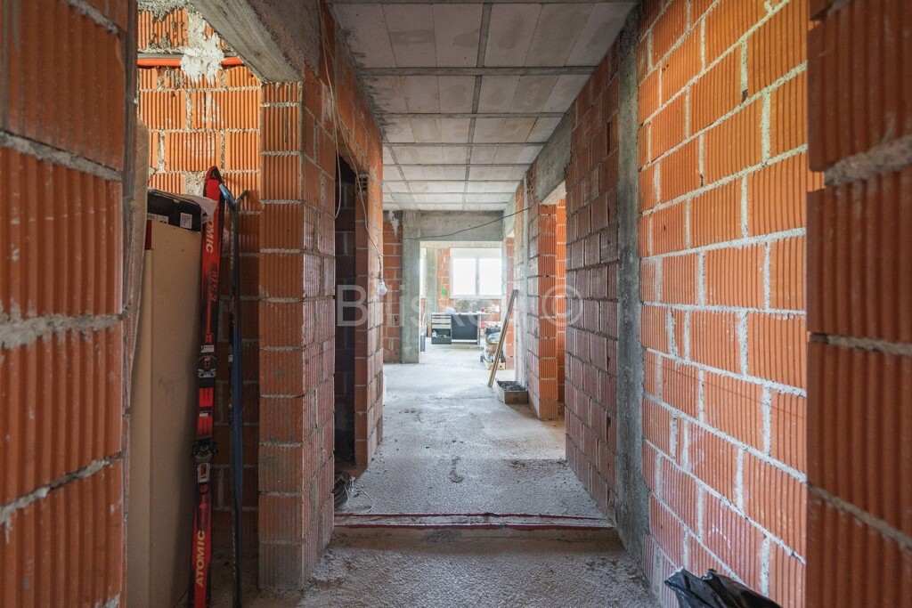 Image 4984263 - 5