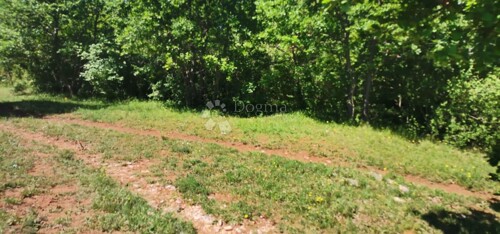 Thumbnail 4984779 - 3