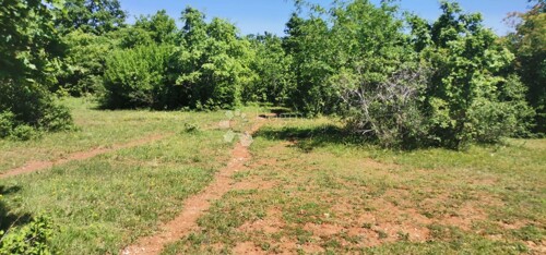 Thumbnail 4984779 - 4