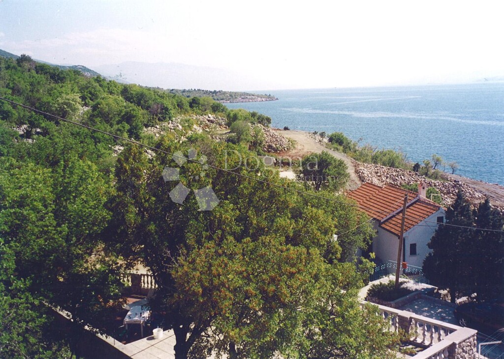 Image 4984782 - 21