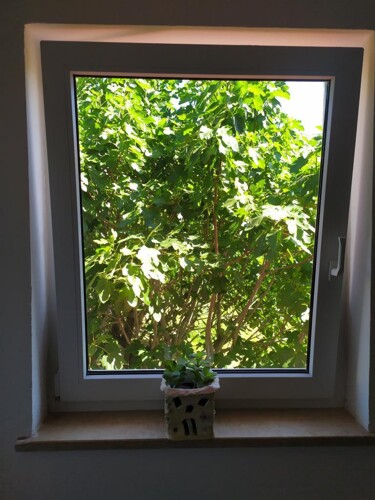 Thumbnail 4989478 - 1