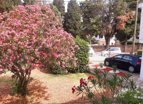 Thumbnail 4989542 - 3