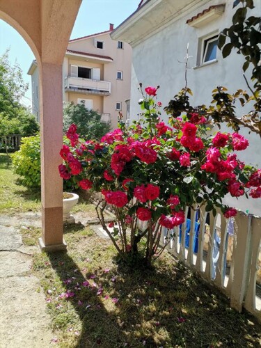 Thumbnail 4989640 - 5