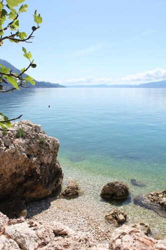 Thumbnail 4989697 - 14