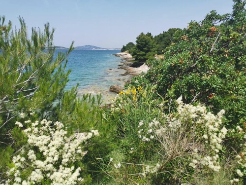 Thumbnail 4989934 - 20