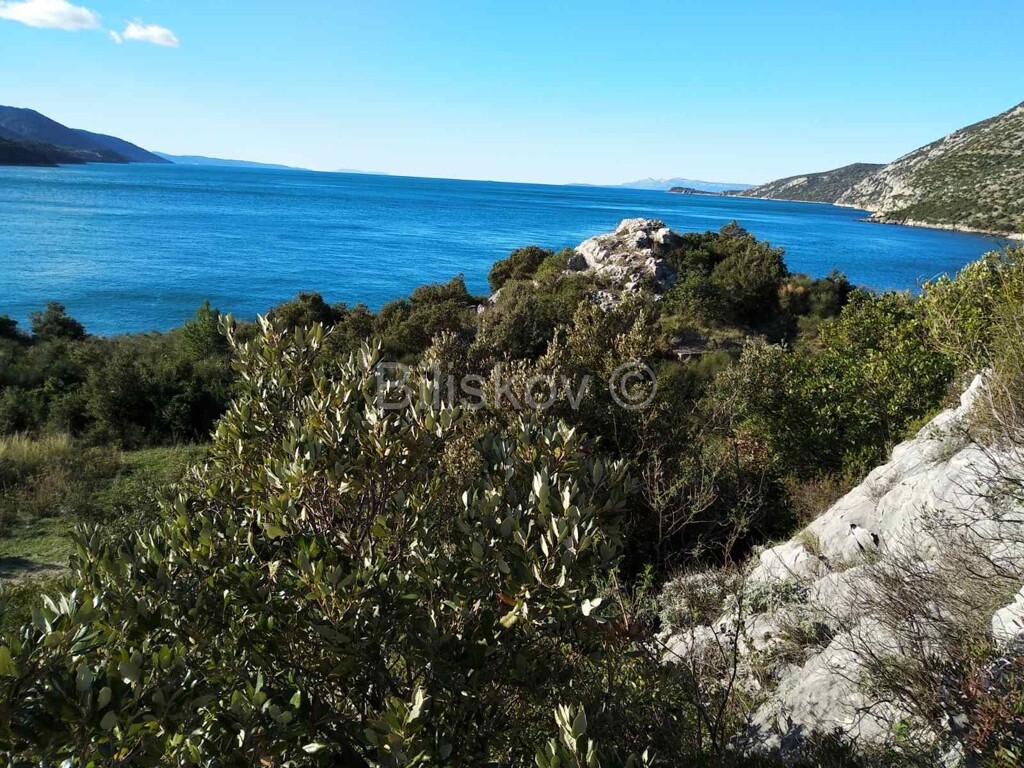 Image 4992710 - 1