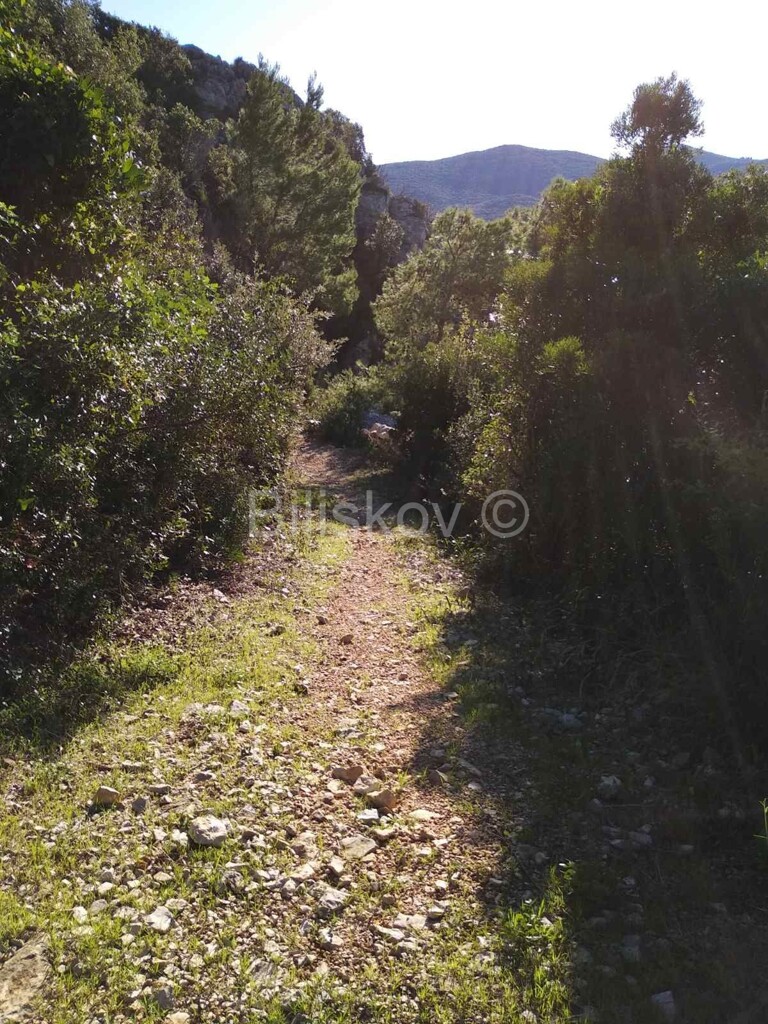 Image 4992710 - 5