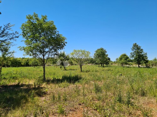 Thumbnail 5006443 - 9