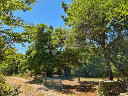 Thumbnail 5006443 - 11