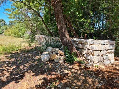 Thumbnail 5006443 - 3