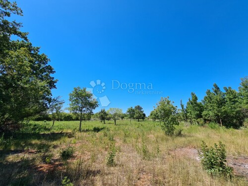 Thumbnail 5006443 - 8