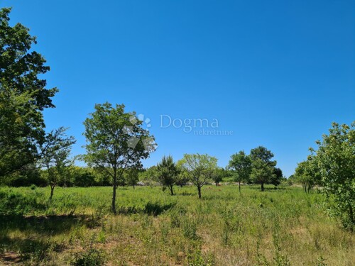 Thumbnail 5006443 - 7