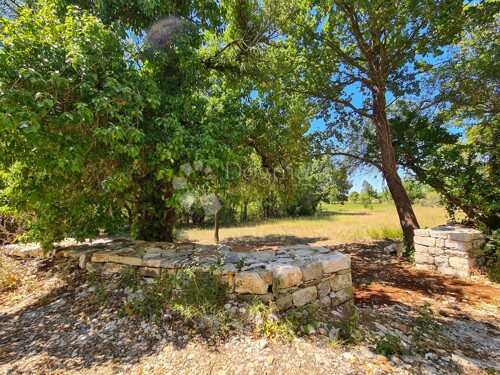 Thumbnail 5006443 - 1