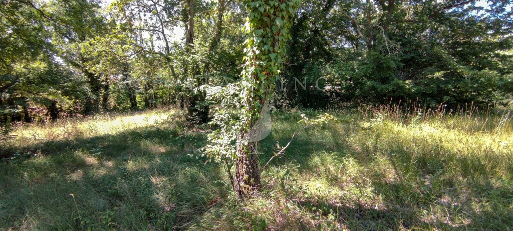 Image 5006594 - 4