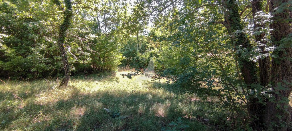 Image 5006594 - 5