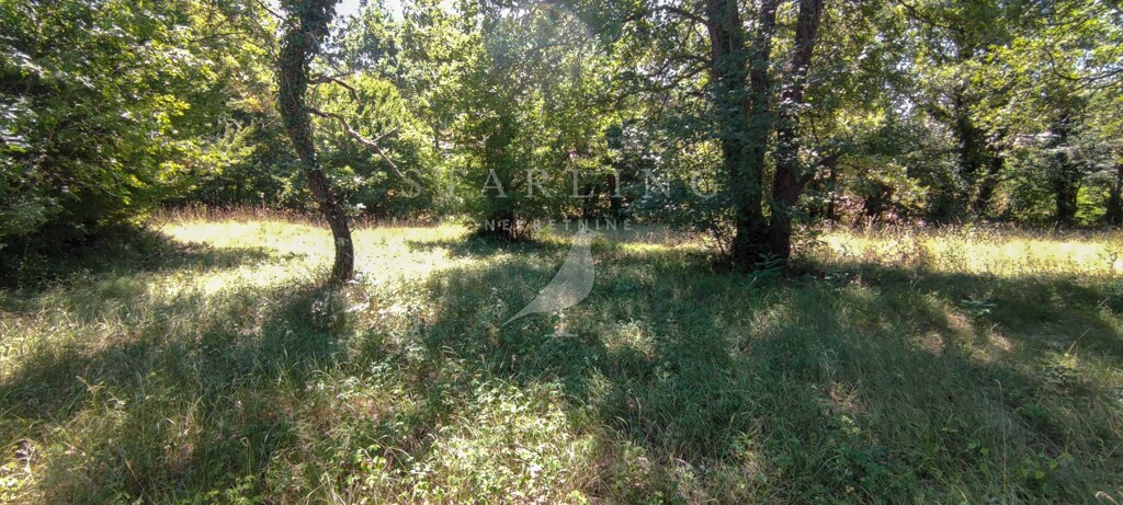 Image 5006594 - 6