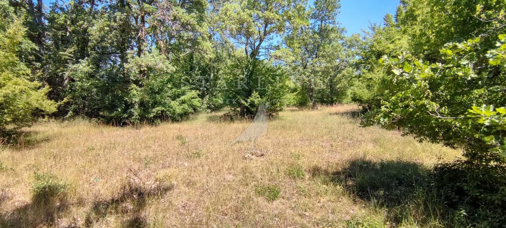 Image 5006594 - 3