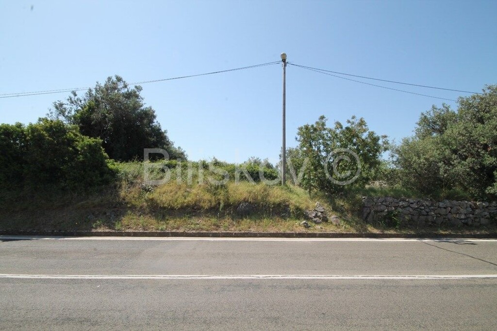 Image 5013863 - 1