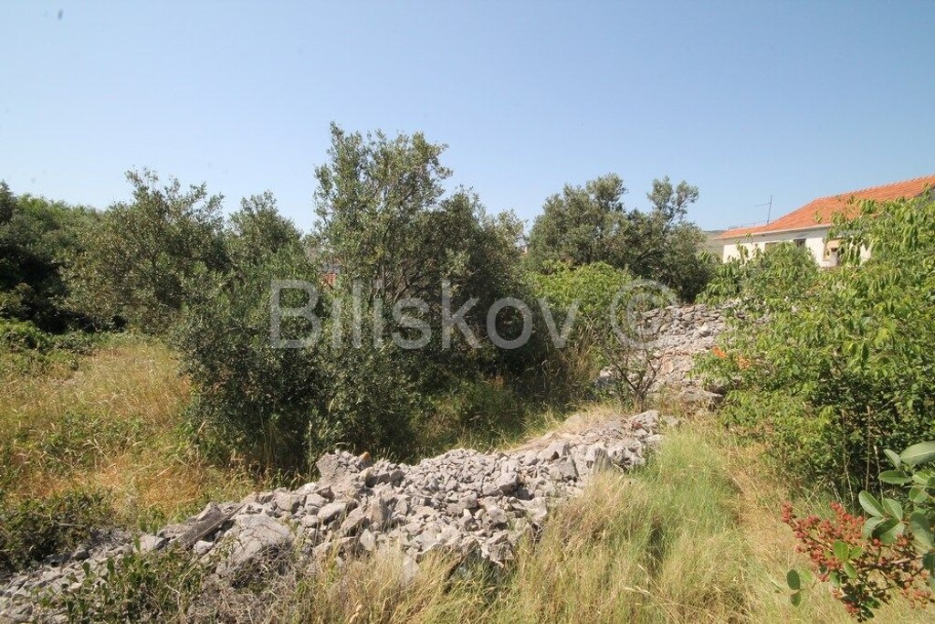 Image 5013863 - 4