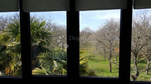 Thumbnail 5017320 - 11