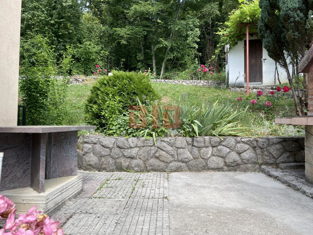 Image 5029821 - 8