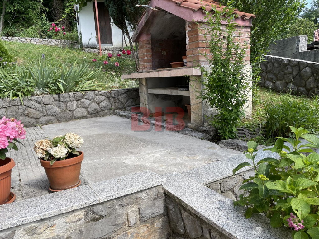Image 5029821 - 7