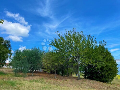 Thumbnail 5031381 - 8