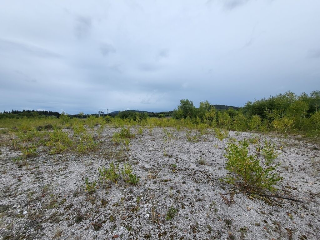 Image 5038016 - 1