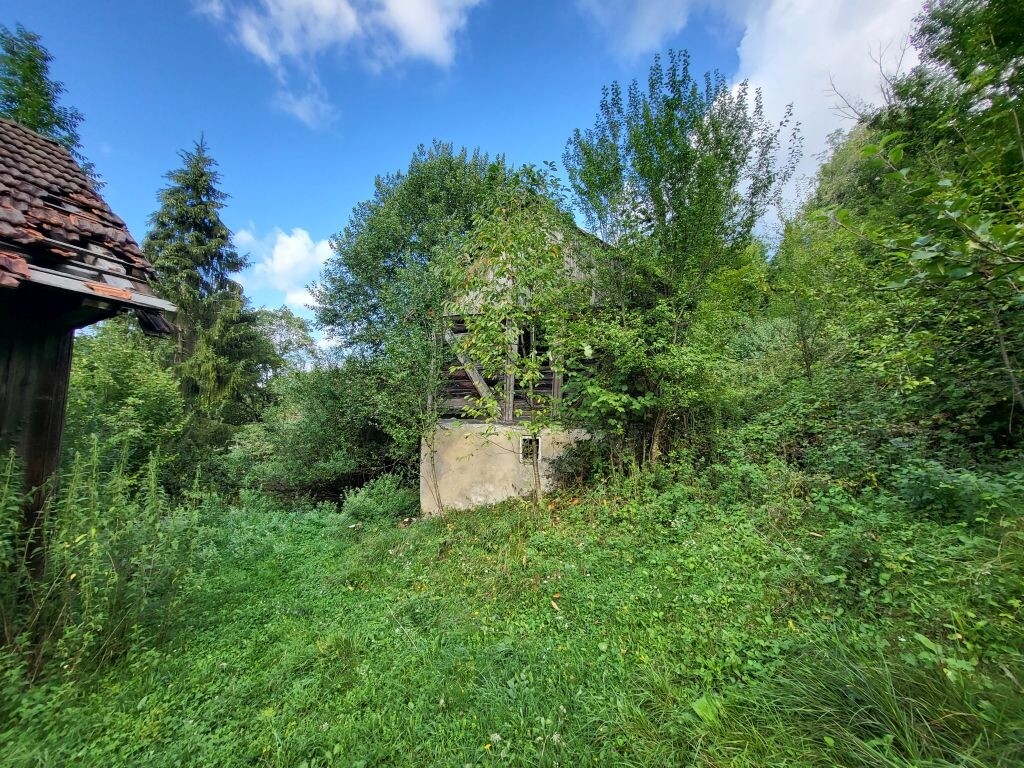 Image 5038017 - 2