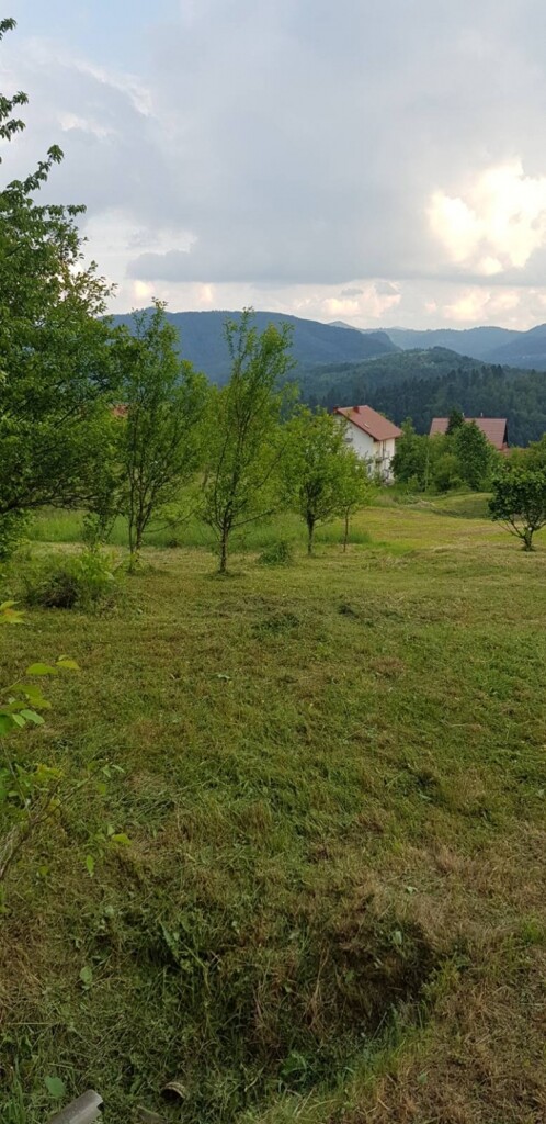 Image 5038018 - 16