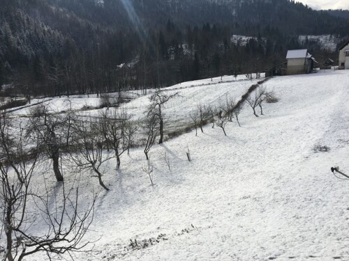 Gorski kotar, zemljište prodaja