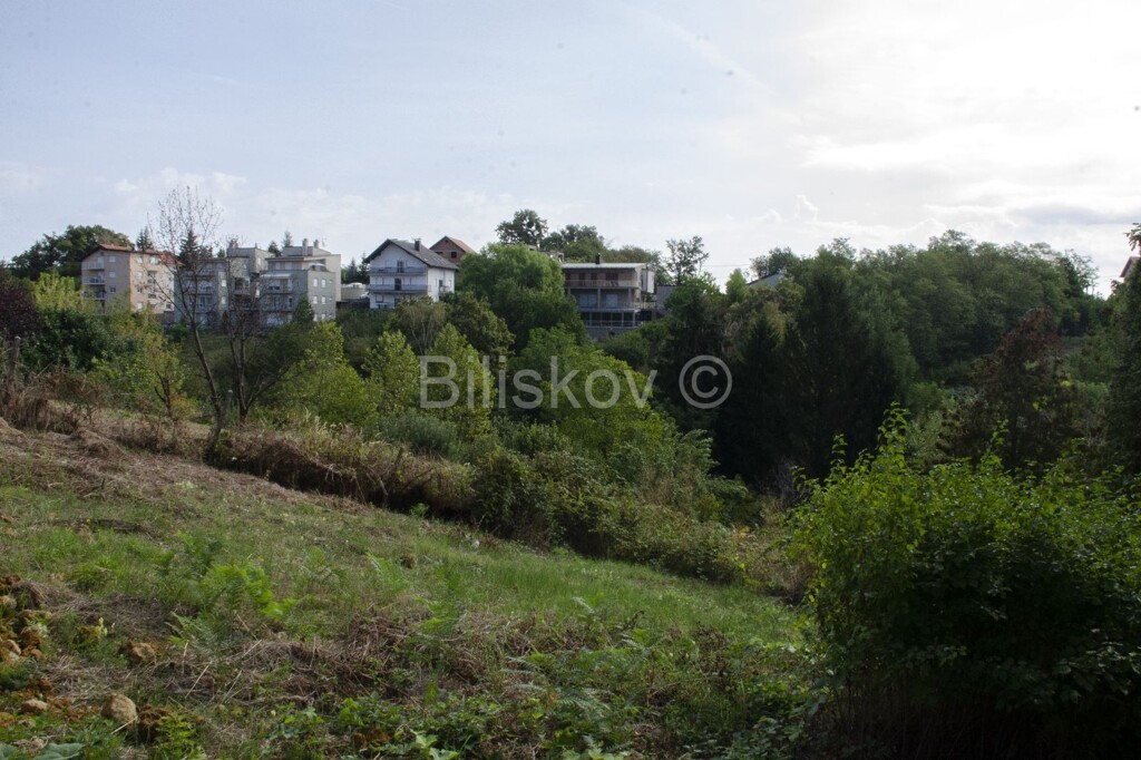 Image 5043076 - 1