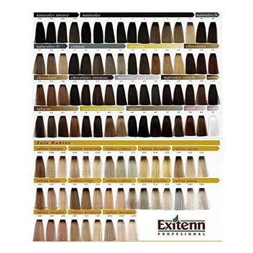 Trajna Boja Color Creme Exitenn (60 ml) - NOVO