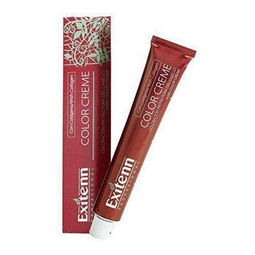 Trajna Boja Color Creme Exitenn Nº V87 (60 ml) - NOVO