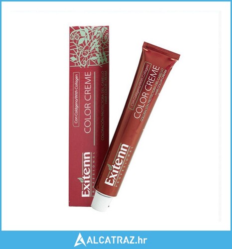 Trajna Boja Color Creme Exitenn Nº 91EX (60 ml) - NOVO