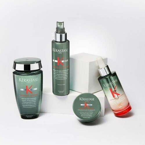 Šampon za Kosu Koja Ispada Kerastase Genesis Homme Dnevnik (250 ml) - NOVO